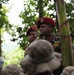 Jungle Introduction Movement