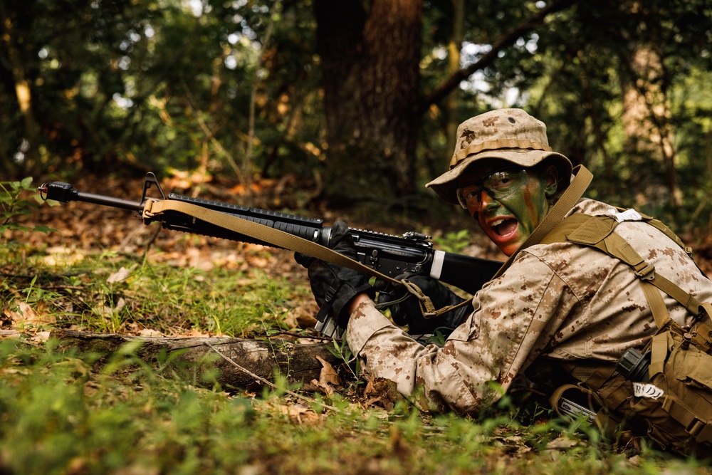 Delta Company conducts SULE 2