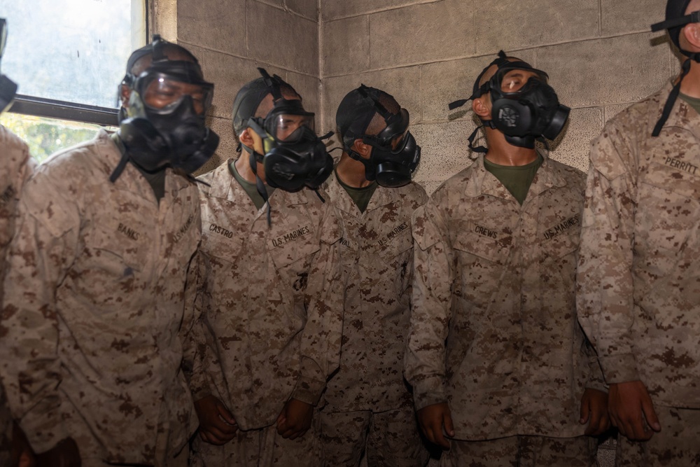 India Gas Chamber