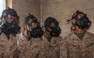 India Gas Chamber