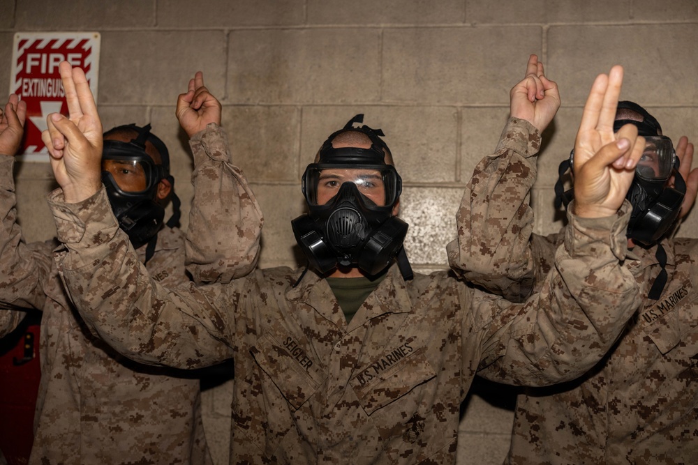 India Gas Chamber