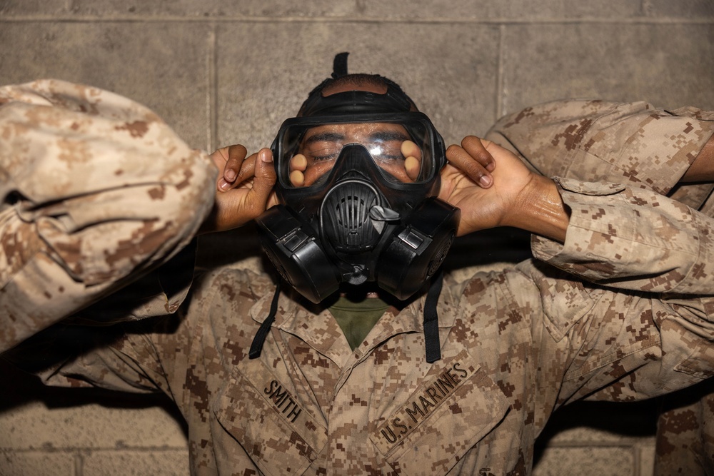 India Gas Chamber