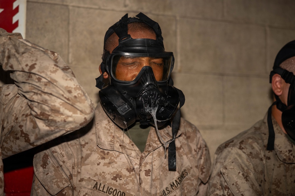 India Gas Chamber