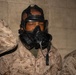 India Gas Chamber