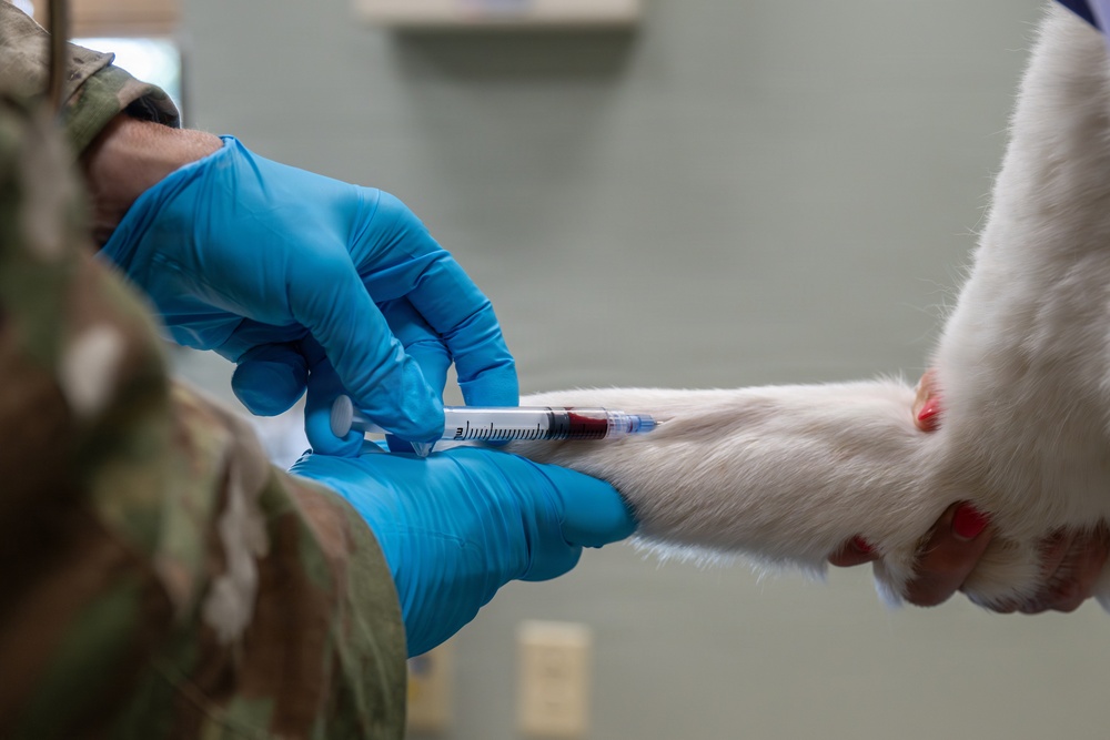 The Dual Mission of the Scott AFB Veterinary Facility