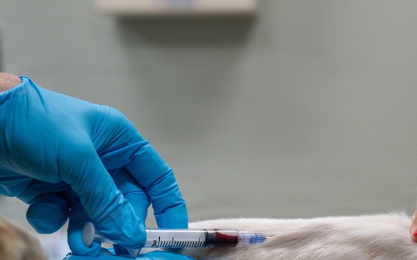 The Dual Mission of the Scott AFB Veterinary Facility