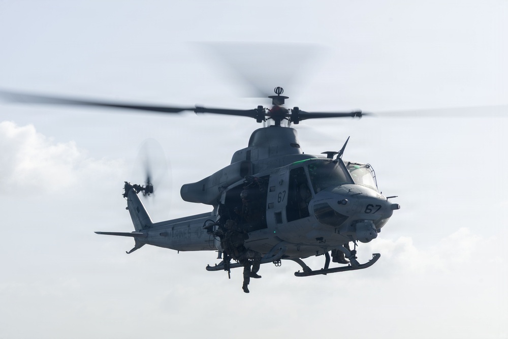 LCF-24: FMP MIO D2