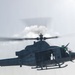 LCF-24: FMP MIO D2