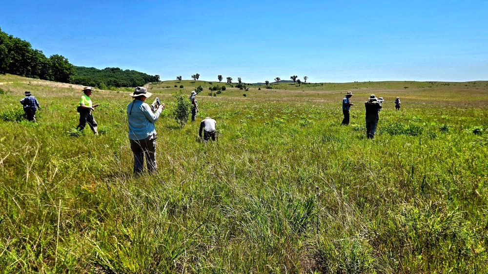 Fort McCoy hosts 2026 Butterfly Field Day highlighting endangered species conservation
