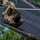 A soldier in US Army OCP (Operational Camouflage Pattern) uniform is climbing a steep inclined obstacle using a rope, lying on their back against a black tarp-covered surface. The soldier appears to be navigating a military obstacle course, gripping a thick rope for assistance. Pine trees and a blue sky are visible in the background, suggesting an outdoor training environment.