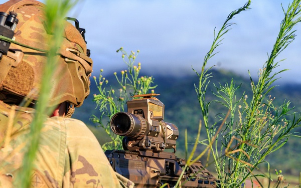 2nd Mobile Brigade conducts Fire Support Coordination Exercise