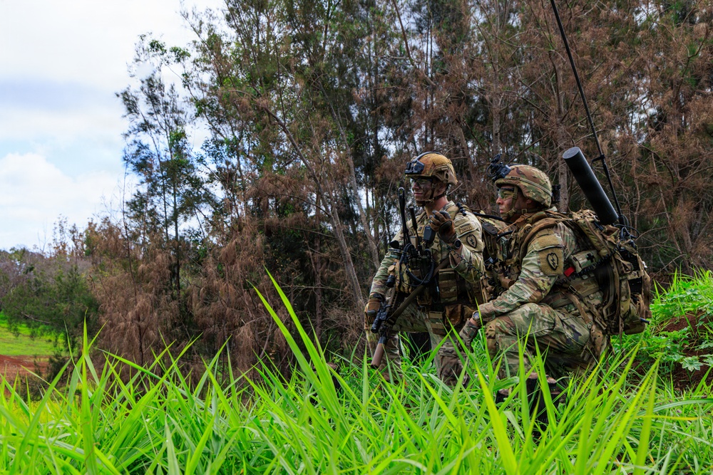2nd Mobile Brigade conducts Fire Support Coordination Exercise