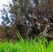 2nd Mobile Brigade conducts Fire Support Coordination Exercise
