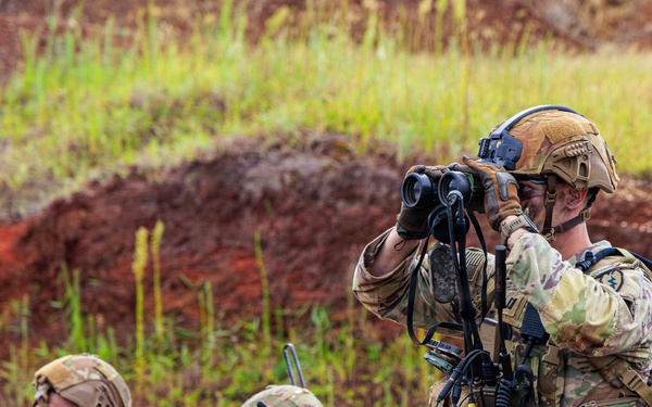 2nd Mobile Brigade conducts Fire Support Coordination Exercise
