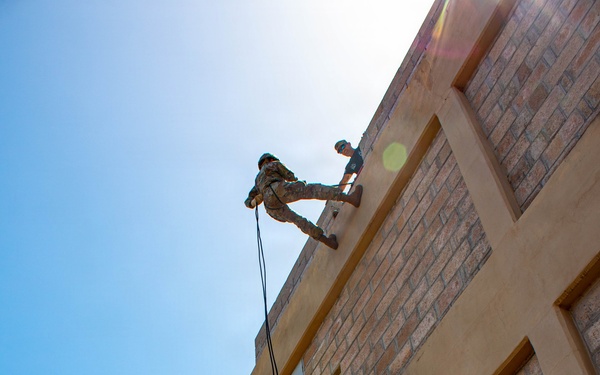 840th Component Inspection Company Soldiers Conduct Rappelling Training During Annual Training