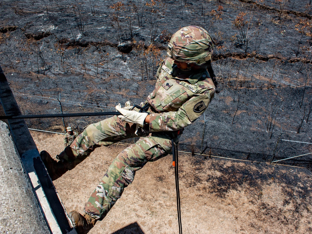 840th Component Inspection Company Soldiers Conduct Rappelling Training During Annual Training