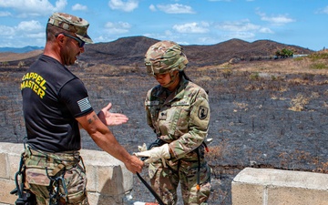 840th Component Inspection Company Soldiers Conduct Rappelling Training During Annual Training