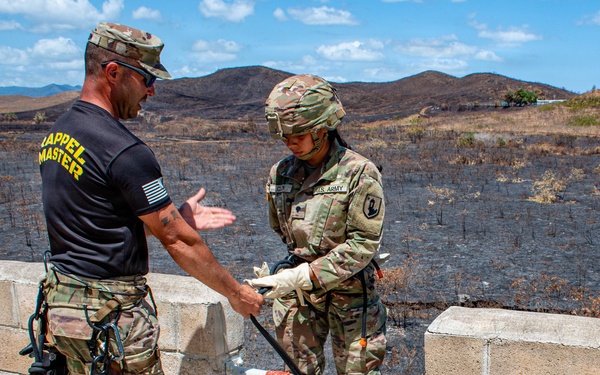 840th Component Inspection Company Soldiers Conduct Rappelling Training During Annual Training