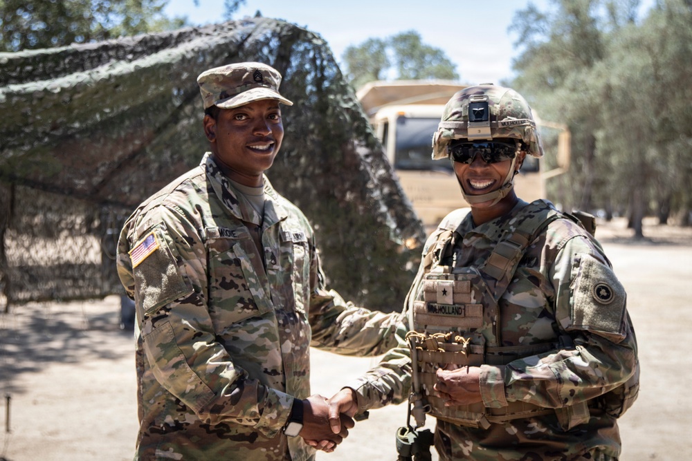 Operation Bold Eagle: Strength Through Leadership