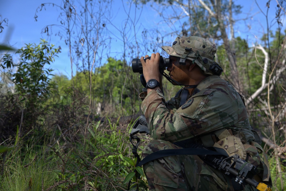 Guam National Guard air assault training