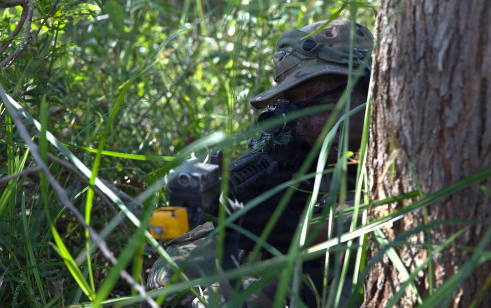 Guam National Guard air assault training