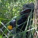 Guam National Guard air assault training