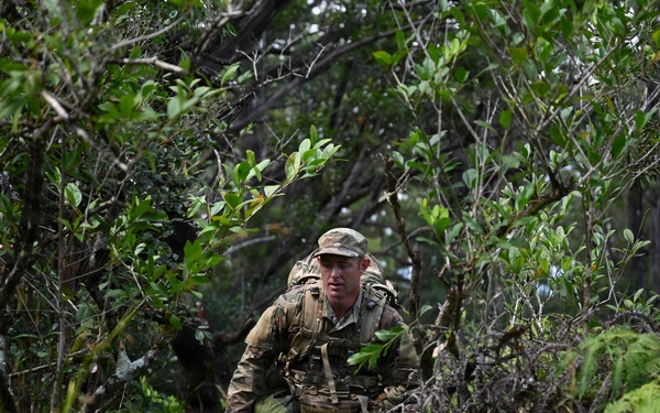 178th Security Forces Airmen conduct annual training at Schofield Barracks