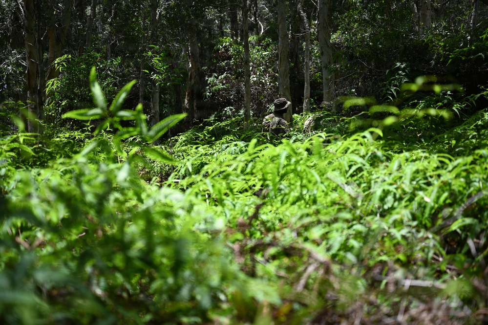 178th Security Forces Airmen conduct annual training at Schofield Barracks