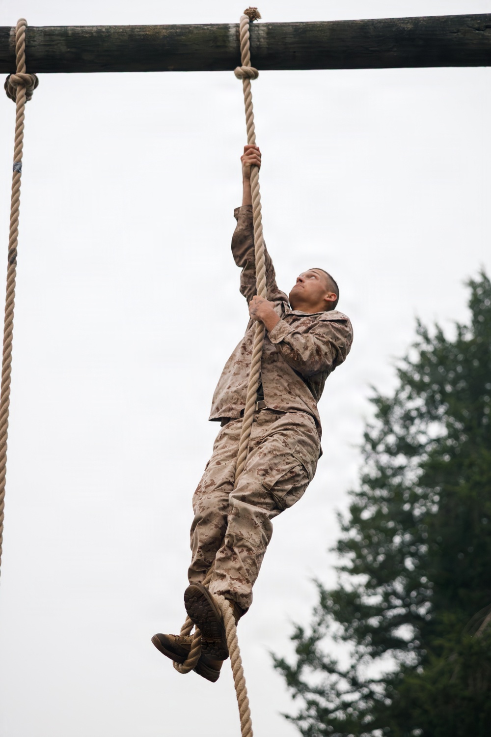 Alpha Company conducts E Course