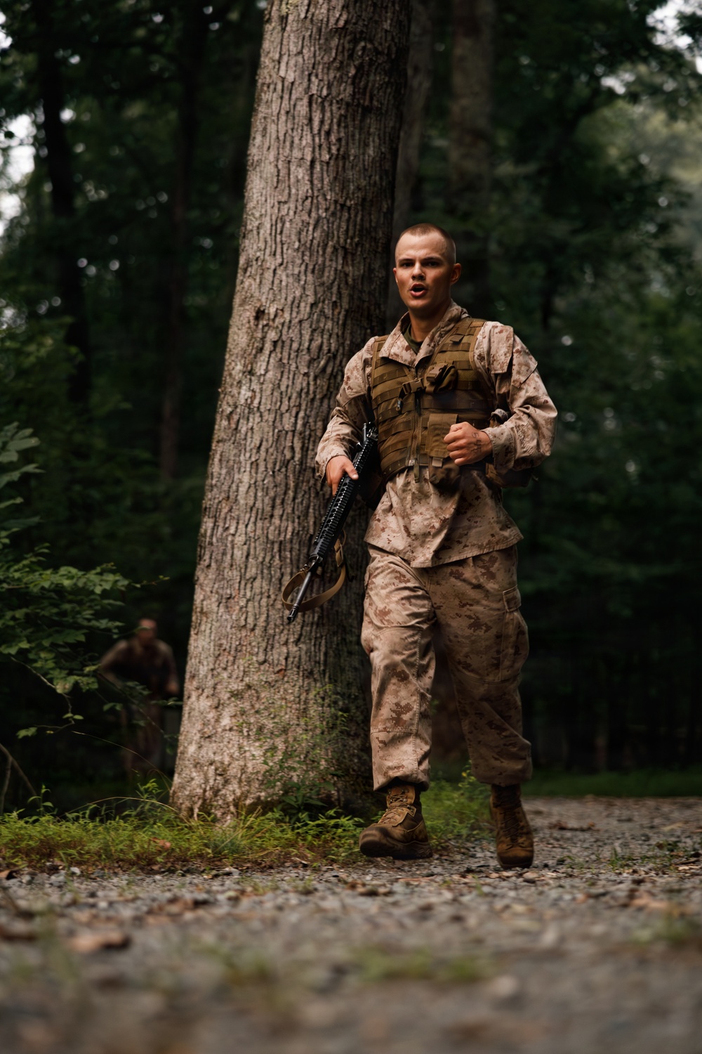 Alpha Company conducts E Course