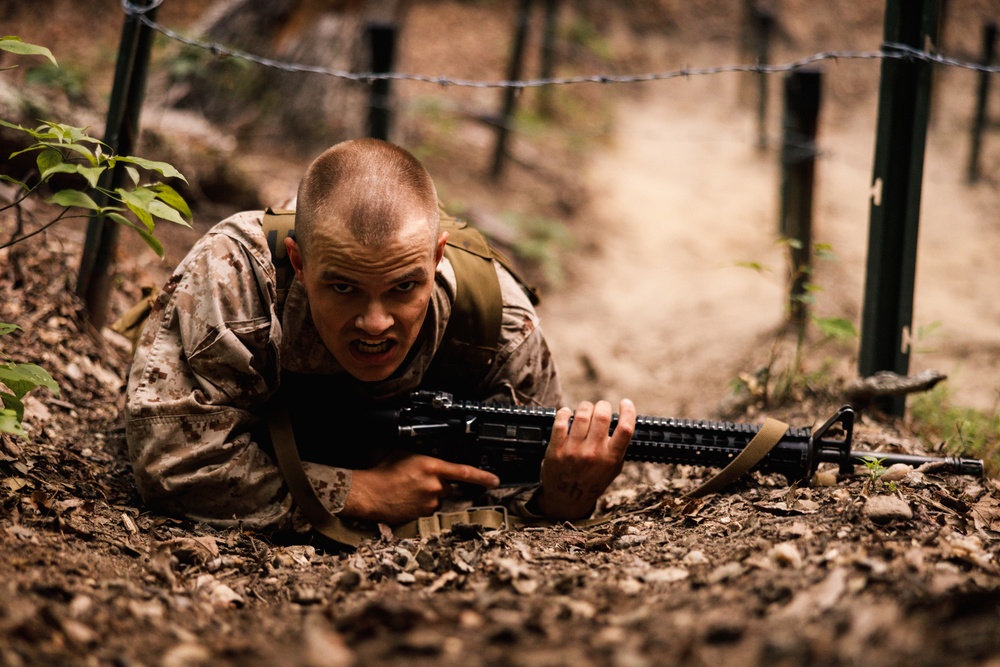 Alpha Company conducts E Course