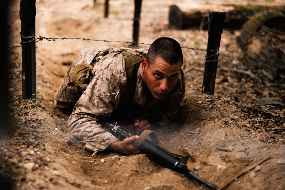 Alpha Company conducts E Course