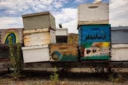 WWBN-West Service Members Participate in Beekeeping Program