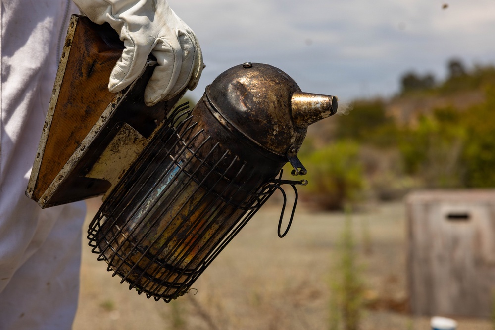 WWBN-West Service Members Participate in Beekeeping Program