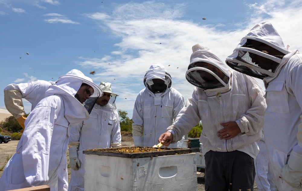 WWBN-West Service Members Participate in Beekeeping Program