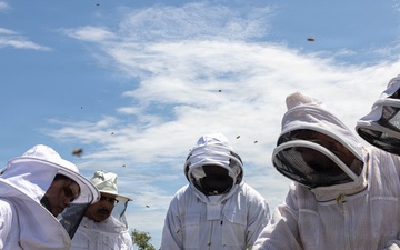 WWBN-West Service Members Participate in Beekeeping Program