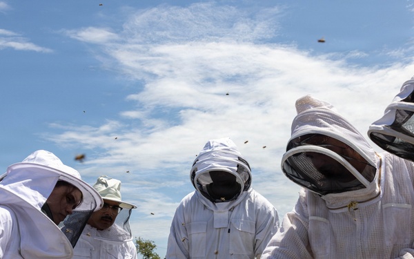 WWBN-West Service Members Participate in Beekeeping Program
