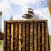 WWBN-West Service Members Participate in Beekeeping Program