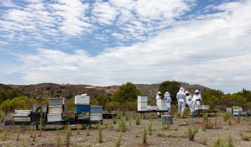 WWBN-West Service Members Participate in Beekeeping Program