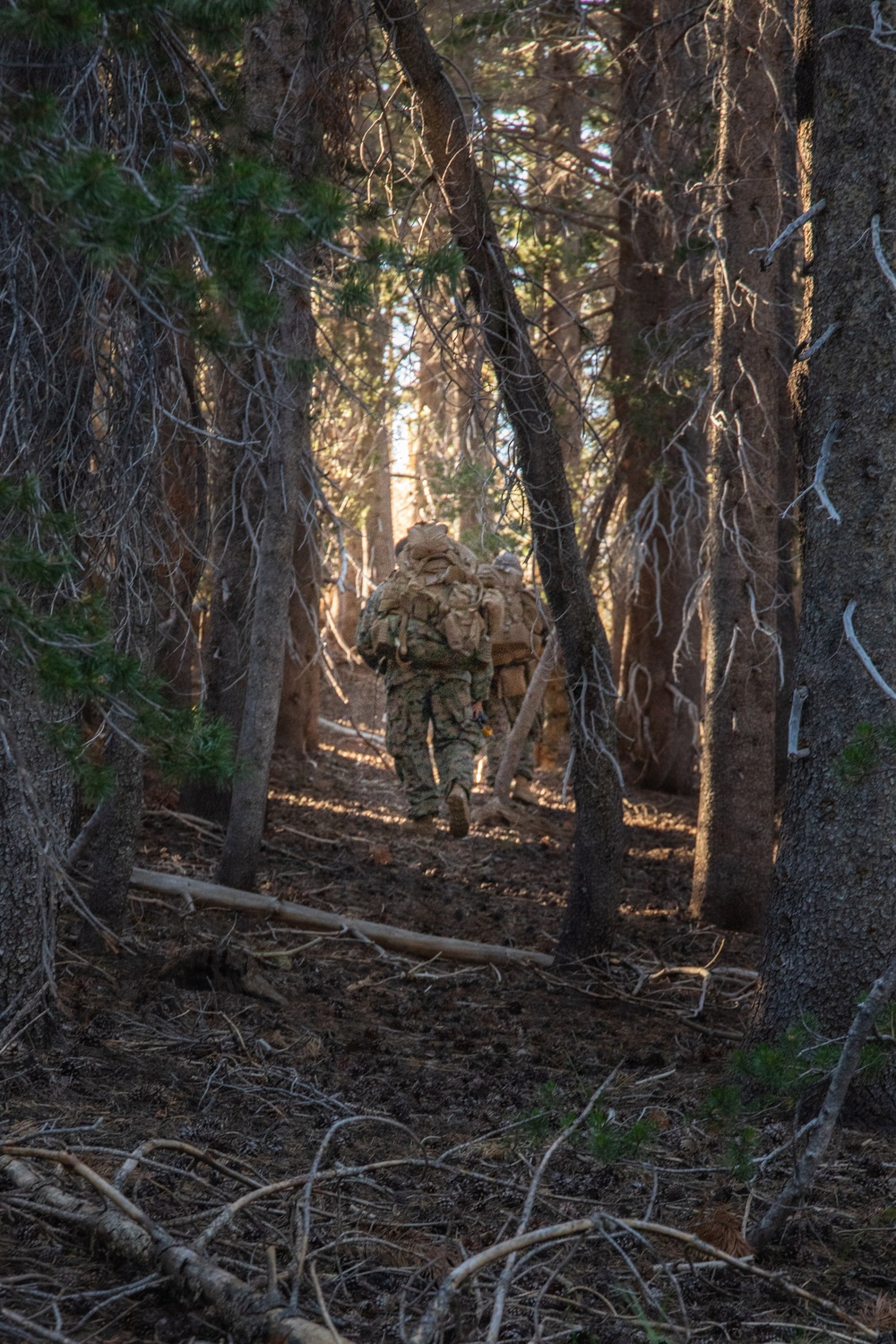 MTX 26-3 | 3/25 Tactical Hike