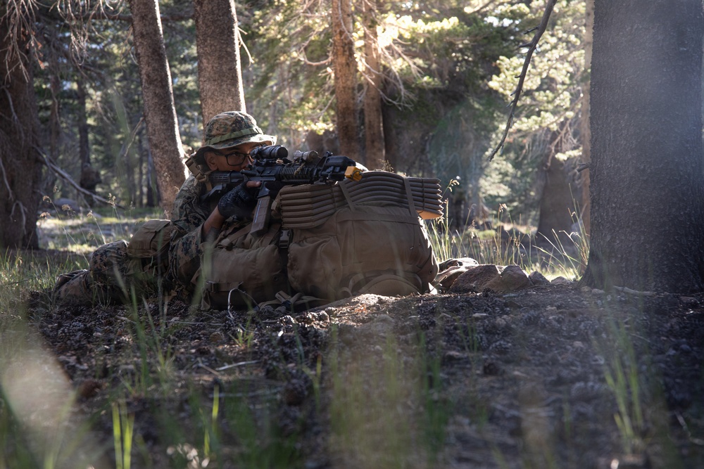 MTX 26-3 | 3/25 Tactical Hike