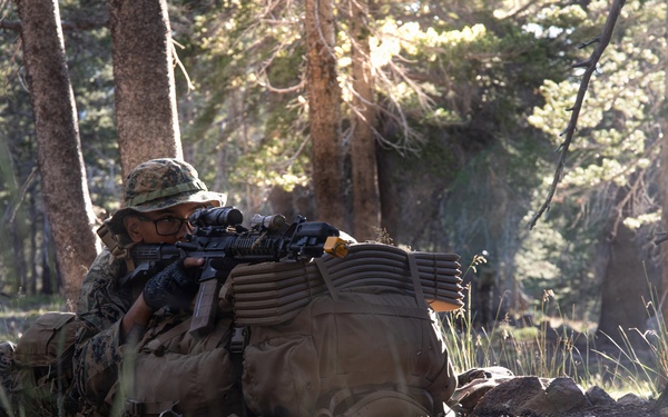 MTX 26-3 | 3/25 Tactical Hike