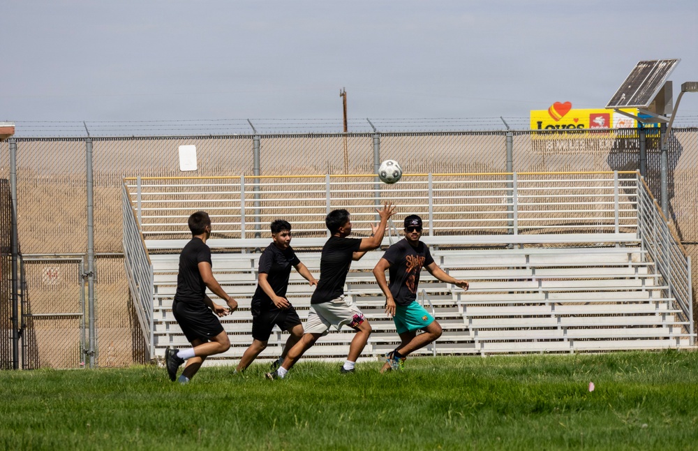 HQCO PT Day-Gatorball
