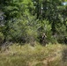 Bravo Company Land Navigation
