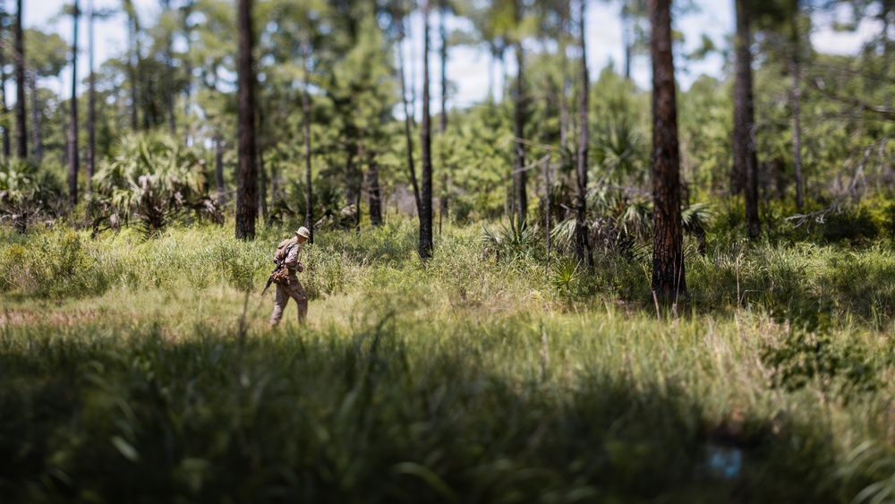 Bravo Company Land Navigation