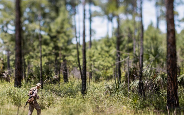 Bravo Company Land Navigation