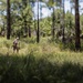 Bravo Company Land Navigation