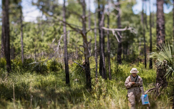 Bravo Company Land Navigation