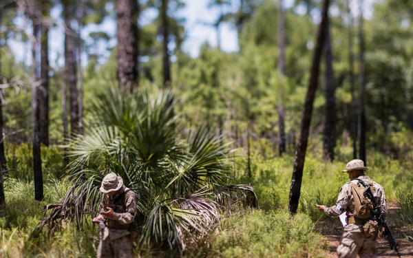 Bravo Company Land Navigation