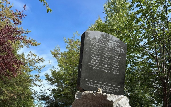 172nd Stryker Brigade Combat Team Memorial Tribute